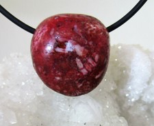 SCHAUMKORALLE  ROT behandelt