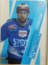Stefano Giliati Ice Breakers - Schwenninger Wild Wings - DEL Playercard 18/19 