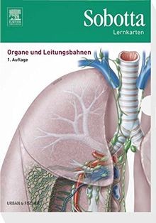 Sobotta lernkarten organe - lernkarten,