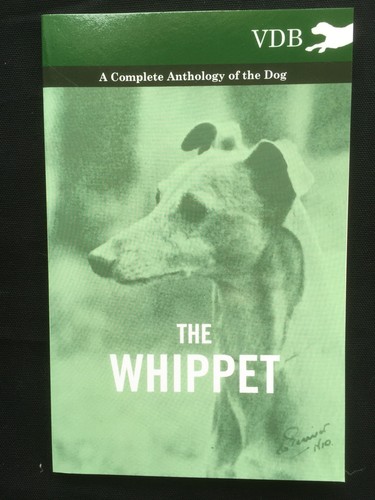 Whippets dogs hounds racing - whippets,