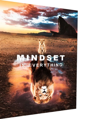 Leinwand bilder löwe mindset - löwe,