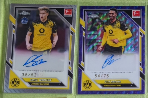 Bvb dortmund auto - dortmund, lot