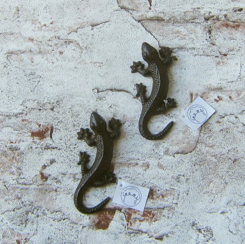 Eidechsen salamander gecko - eidechsen,