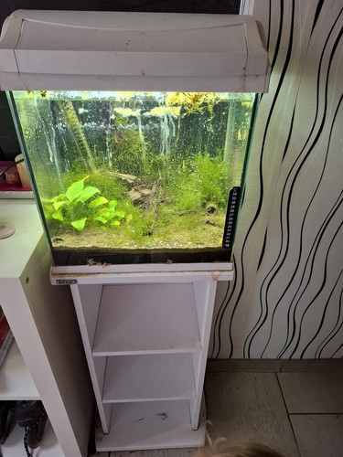 Aquarium komplettset - aquarium,