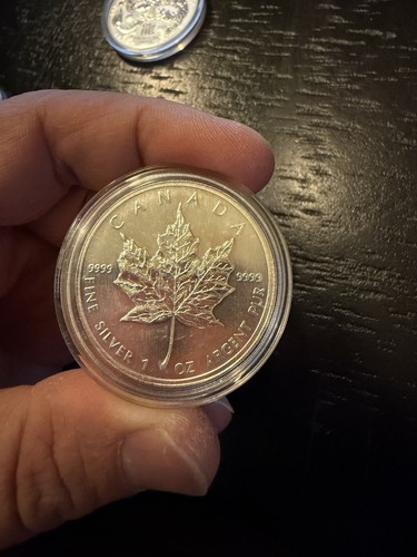 Maple leaf 2010 1oz - leaf,