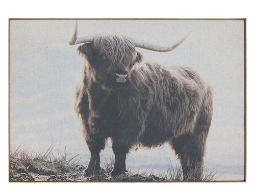 Wandbild bild stier leinwand - wandbild,