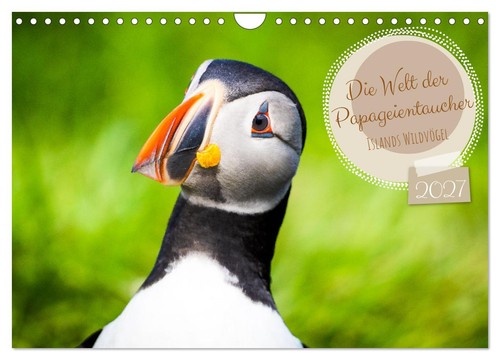 Die welt der papageientaucher - die,
