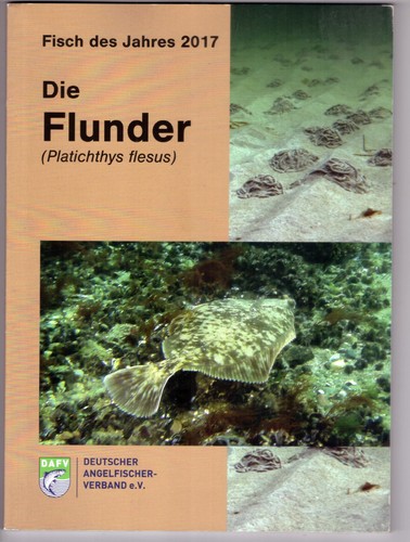 Die flunder fisch des - fisch,