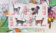 Katzen Malawi   gestempelt
