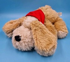 TCM Hund Timmi Taps Braun