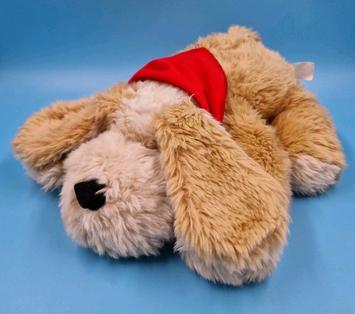 Tcm hund timmi taps - hund, braun