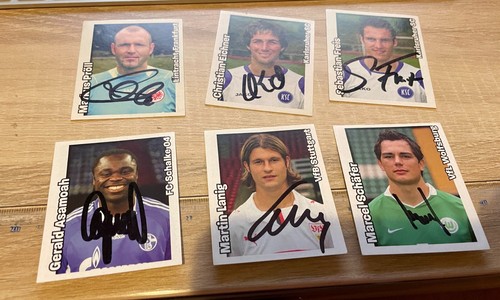 Panini fussball 2008 09 - 7,