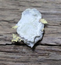 Goldstufe Eagles Nest Mine