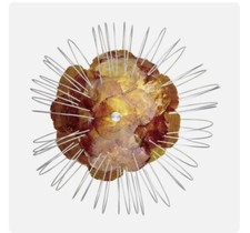 Eglo 52194 Edi Light Wand- und