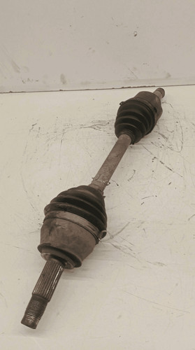 46307998 semialbero ameise - 46307998, semialbero-ameise