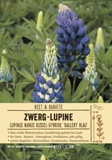 Lupinus kastelan lupine - lupinus,