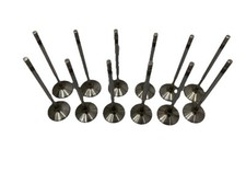 Bmw E36 S50b32 M3 einlass