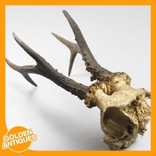 alter Vintage Hirsch Hirsch