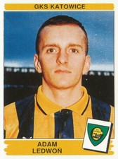 084 ADAM LEDWON ? POLEN