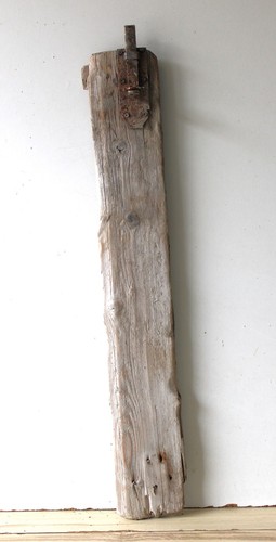 Treibholz schwemmholz - treibholz,