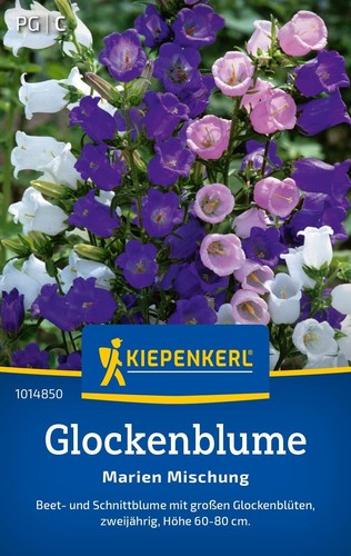 Glockenblume marien mischung - glockenblume,