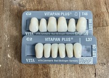 Zahngarnitur Frontzähne Vita