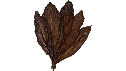 Kentucky very smoked - kentucky,