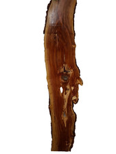 1x Zwetschge Pflaume Bohle