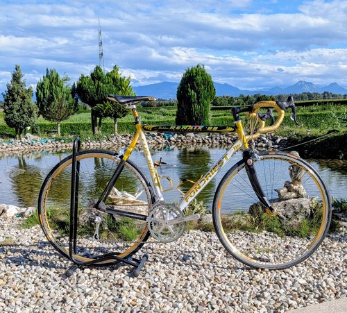 Fondriest golden renaix - fondriest,