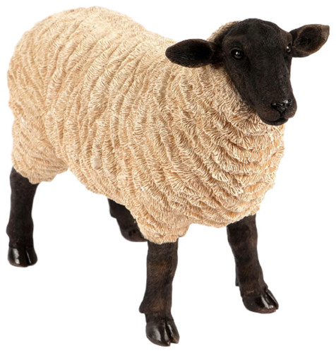 Beschädigtes schaf ornament - schaf,