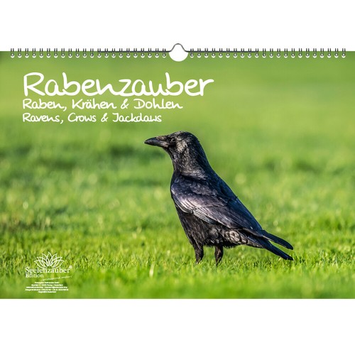 Tierzauber raben krähen und - tierzauber,