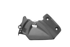 Carbon Ritzelabdeckung für