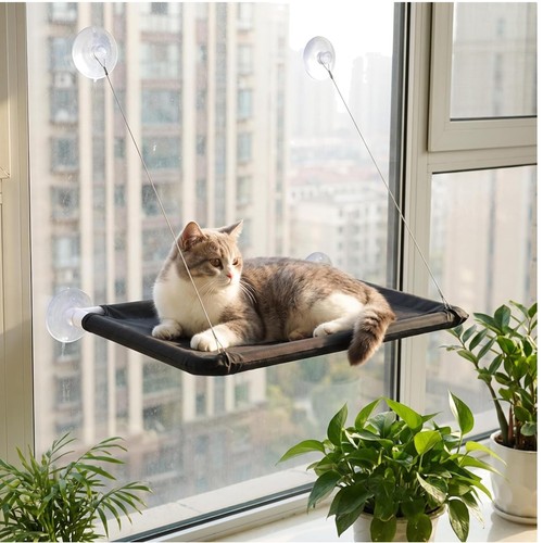 Katzen fensterliege - katzen,