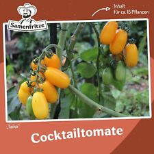 Tomatensamen Taiko für ca. 15