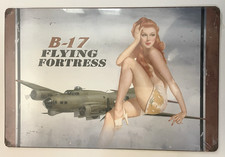 Vintage Style B-17 Flying