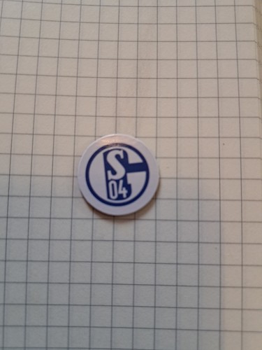 Schalke magnet logo - 04,