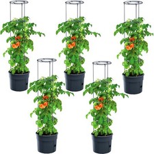 5x Topf für Tomatenpflanze
