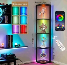 Große Acryl Vitrine