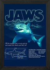 Großer weißer Hai gerahmtes