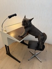 Original Flötotto Kinderschreibtisch & Stuhl | Luigi Colani Design Klassiker