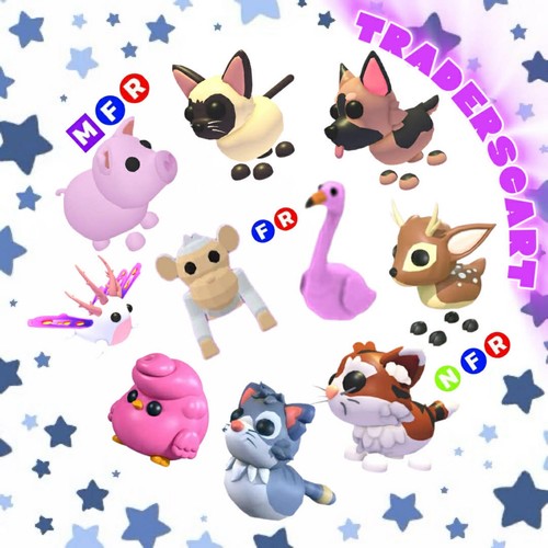 Traderscart adopt pets - traderscart,