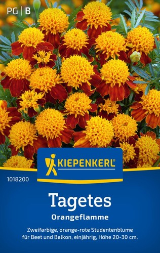 Kiepenkerl tagetessamen - kiepenkerl,