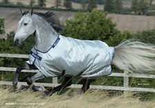 Bucas Power Turnout Classic