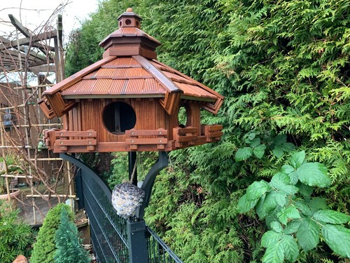 Xxl vogel futter - futter+haus, japan