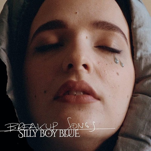 Silly boy blue breakup - blue, songs