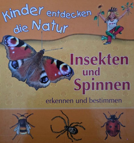 Insekten und spinnen erkennen - insekten,