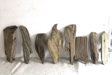 Schwemmholz Treibholz 8