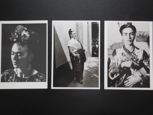 Frida kahlo - frida, postkarten)
