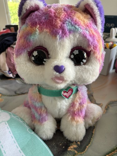 Vtech hope the rainbow husky - the,