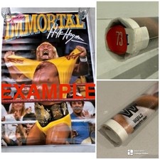 Wwf the immortal hulk - immortal,